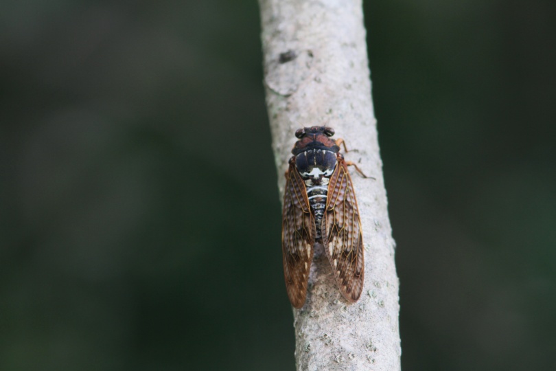 c0172139_2248730.jpg