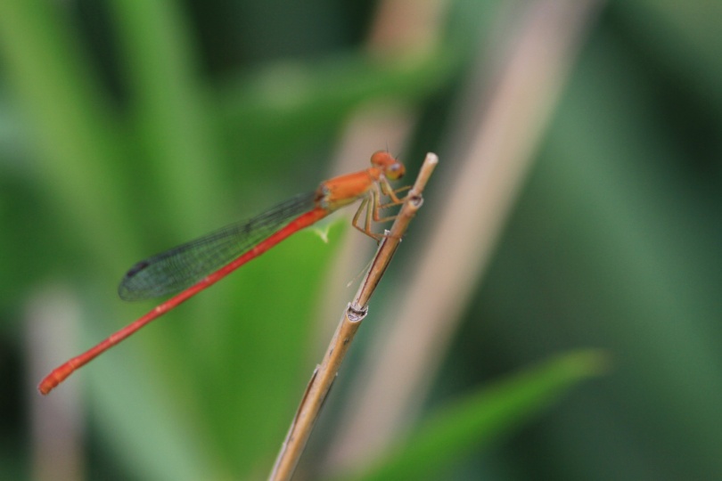 c0172139_22501199.jpg