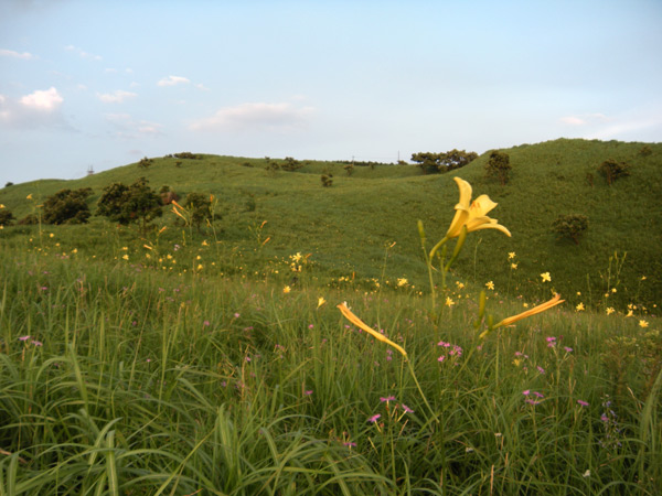 c0047341_431514.jpg