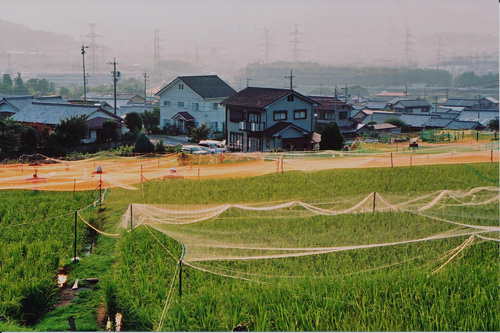 e0156251_22301451.jpg