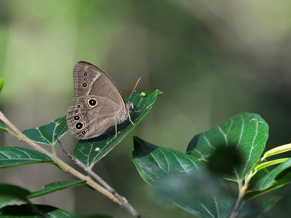c0045352_6554257.jpg
