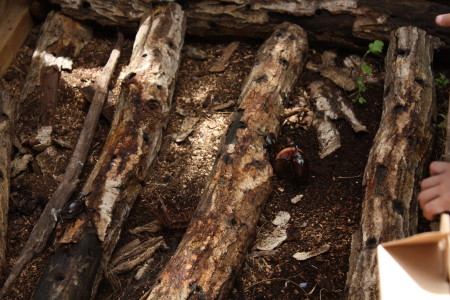 c0074553_17403999.jpg
