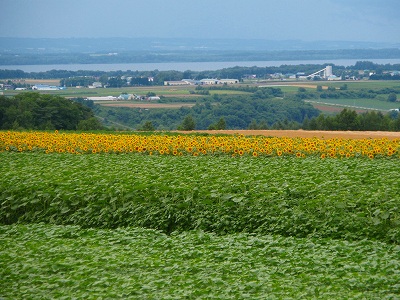 晩夏の風景_e0004756_21403381.jpg