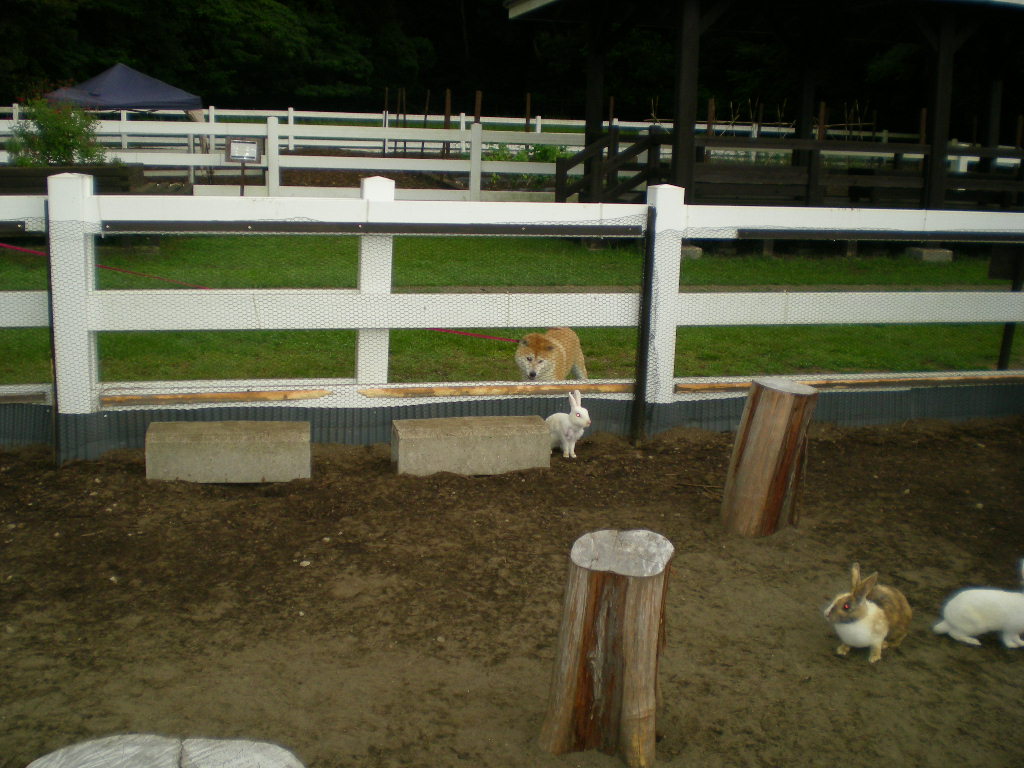 ２０１０年８月９日（月）空が燃えている～！_f0060461_11202446.jpg