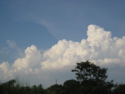 c0229483_1336743.jpg