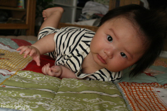 d0078884_9444541.jpg