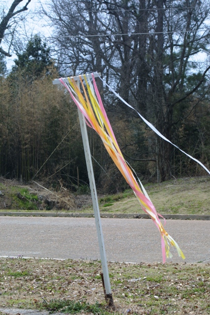 c0062603_130963.jpg