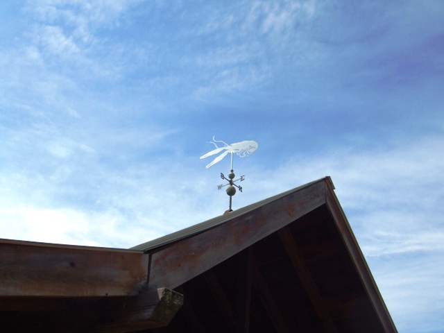 c0062603_1323327.jpg