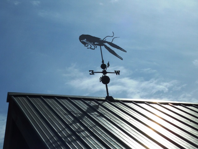c0062603_1325054.jpg