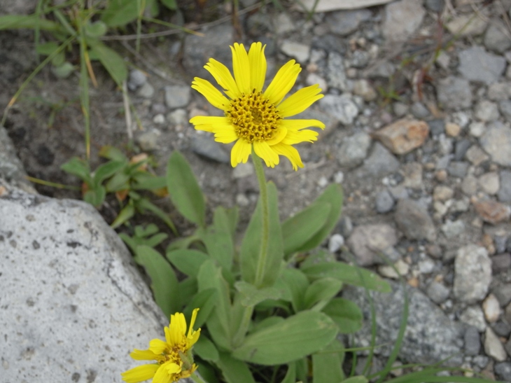 b0137208_23371978.jpg