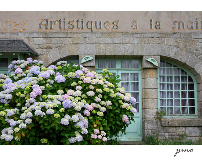 夏のフランス*2010　～ロクロナンの紫陽花～_d0026414_1943147.jpg