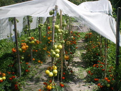 c0124619_172876.jpg
