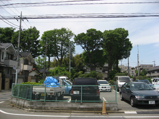 トラストまちづくり「桜丘街歩き」（5/9）_e0018920_1453353.jpg