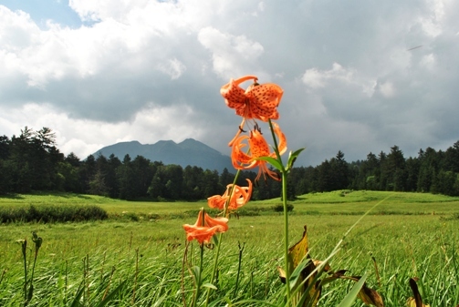 尾瀬沼　２０１０・８・１０_f0000521_6533994.jpg