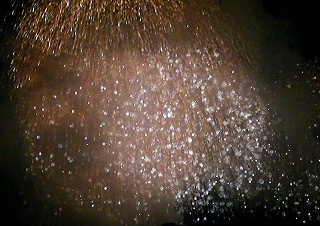 b0194227_1025591.jpg