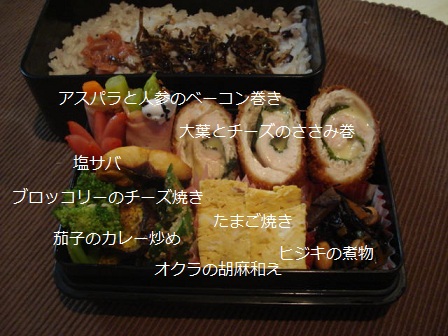 ★メニュー底付いたよお弁当★_d0176634_8312533.jpg