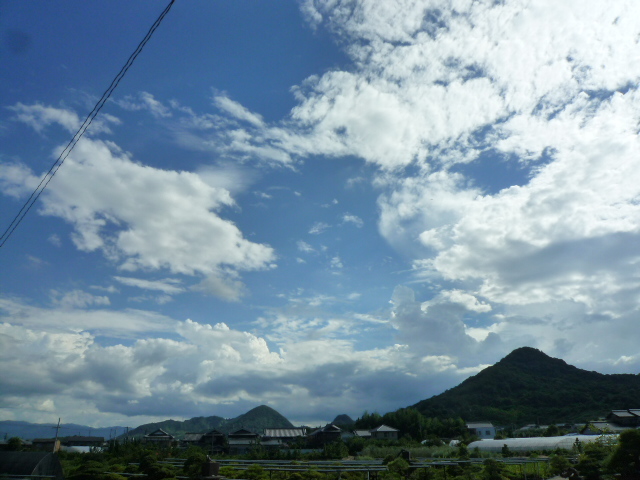 b0182836_1358108.jpg