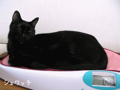 a0166338_21551930.gif