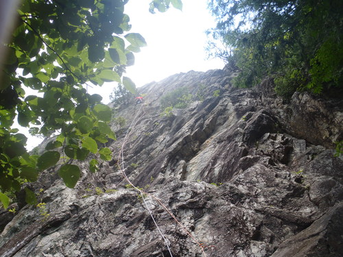f0182938_1483234.jpg