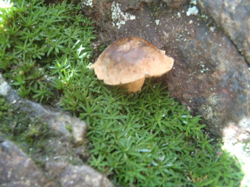 f0182938_2144223.jpg