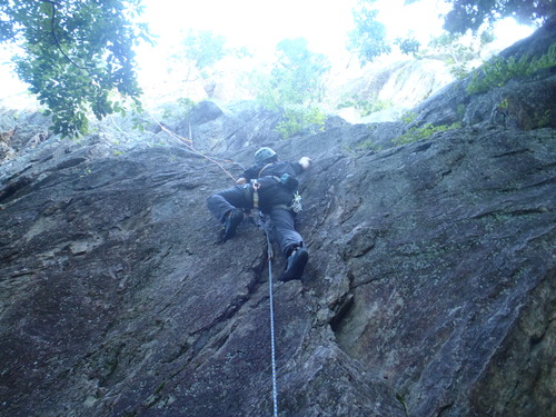 f0182938_25941.jpg
