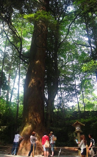 c0119160_22262654.jpg