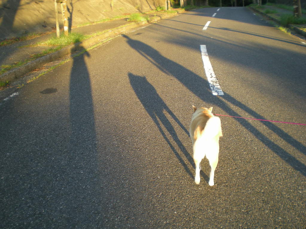 2010年8月10日(火)午前中は大忙し!_f0060461_8111569.jpg