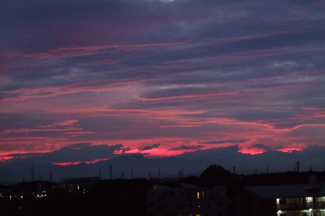 b0050768_2032665.jpg