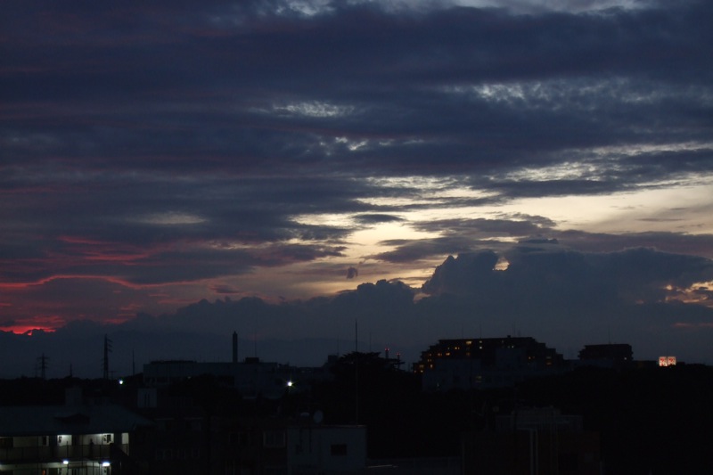 b0050768_203387.jpg