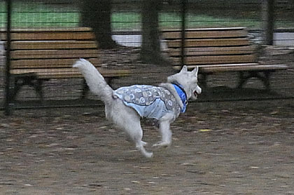 c0161772_2052066.jpg