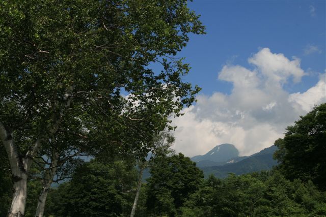 b0184974_5575252.jpg
