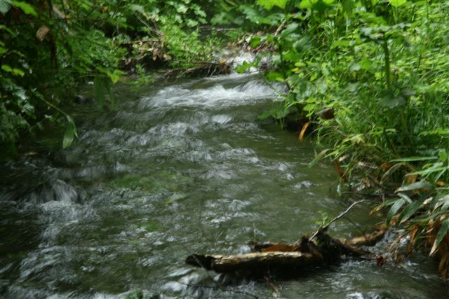 b0184974_5583883.jpg