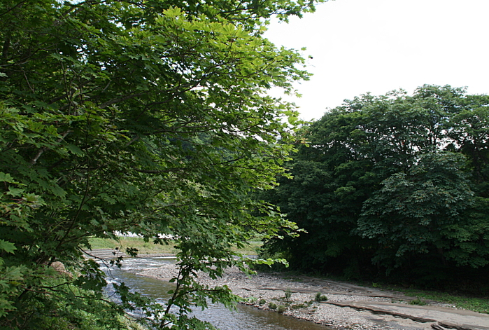 c0112479_22324763.jpg