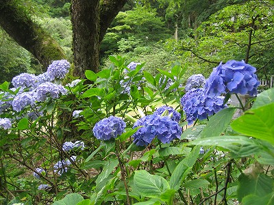 c0229483_0263463.jpg