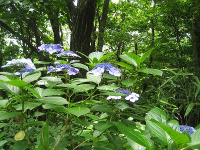 c0229483_0271818.jpg