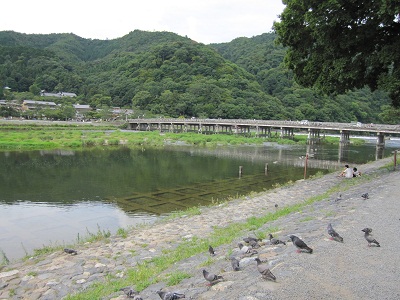 a0154793_202359.jpg