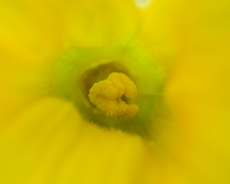 f0239100_10471521.jpg