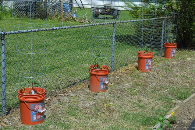 c0062603_1220267.jpg