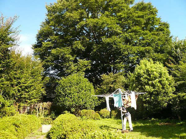 f0220504_16284911.jpg