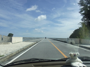 おにぎり提げてどこへ_d0174105_23481836.jpg