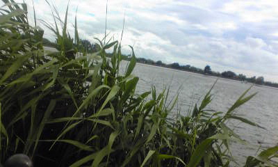 c0180209_16413076.jpg