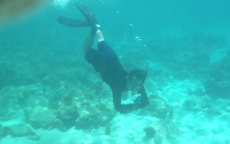 d0079912_155514.jpg