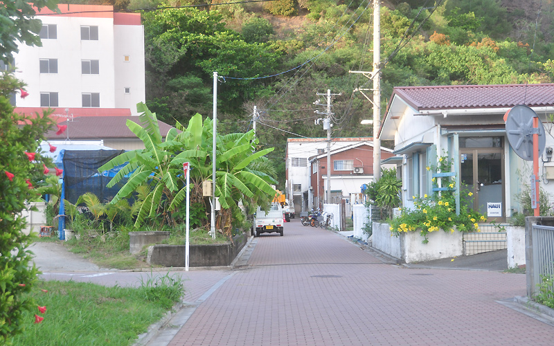 d0079912_157047.jpg