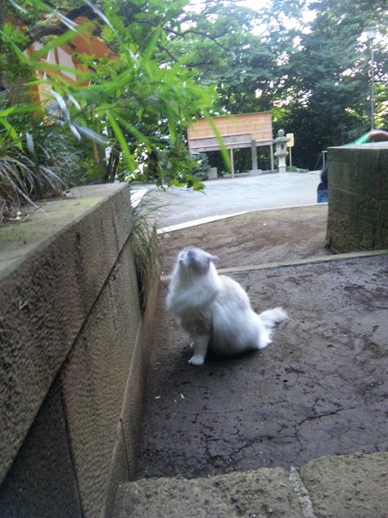 社長と八幡神社_e0127112_89475.jpg