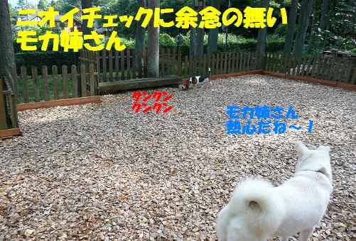 夏の旅行記①＜出発～清里萌木の村～宿へ（8/3）＞_f0121712_13181461.jpg