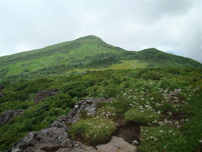 a0127015_19224958.jpg