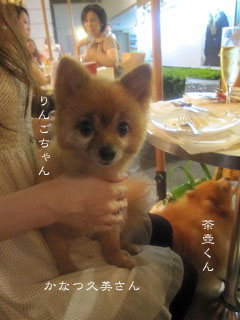 土曜の夜は犬になる_e0156015_9145783.jpg