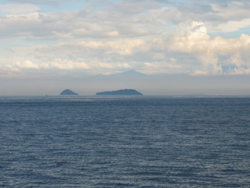 c0225420_2039072.jpg