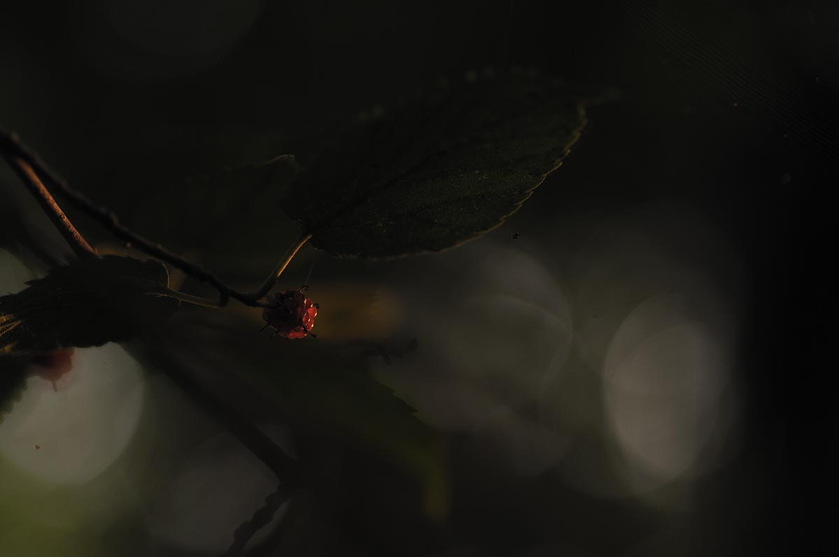 a0059621_2131427.jpg