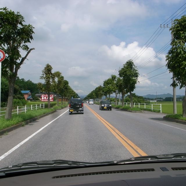 d0075828_17412081.jpg